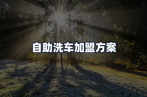 自助洗车加盟方案